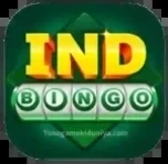 Ind Bingo icon