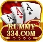 Rummy 334 icon