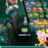 Rummy 91 icon