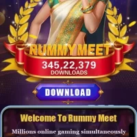 rummy meet icon
